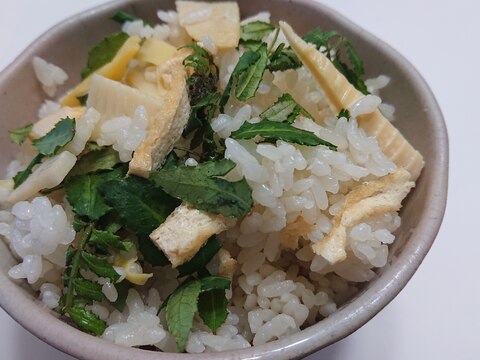 今が旬！木の芽の香りタケノコご飯